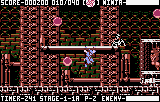 Скриншот 1 из Ninja Gaiden III: The Ancient Ship of Doom